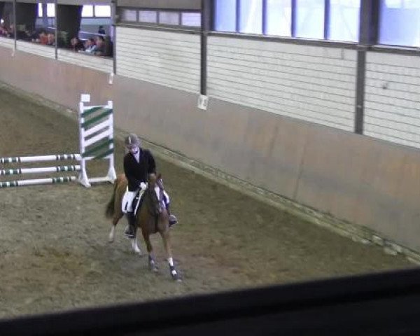 Reit - und Springturnier Hamm-Rhynern 2015