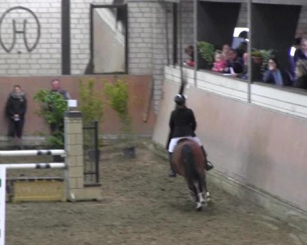Reit - und Springturnier Hamm-Rhynern 2015
