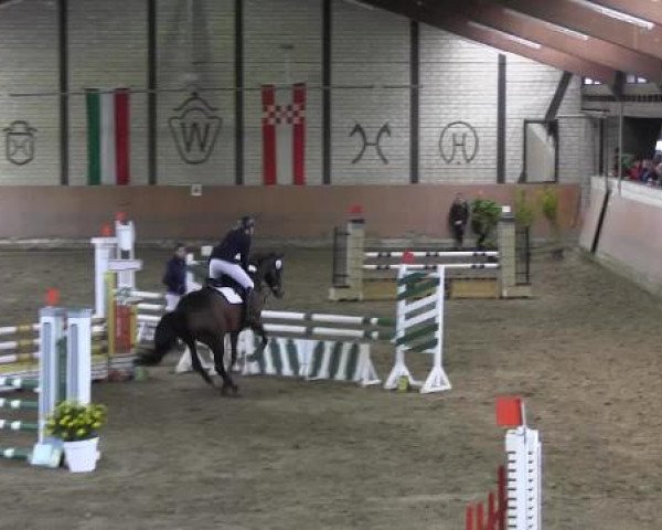 Reit - und Springturnier Hamm-Rhynern 2015