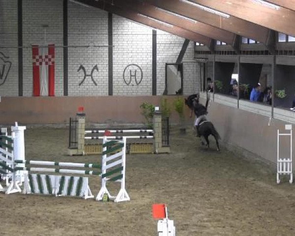 Reit - und Springturnier Hamm-Rhynern 2015