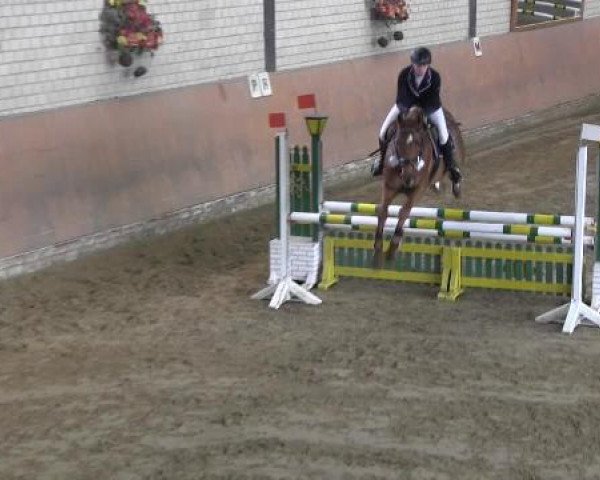 Reit - und Springturnier Hamm-Rhynern 2015