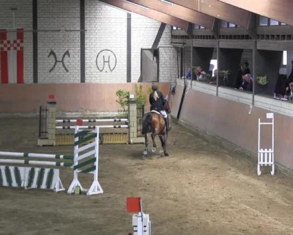 Reit - und Springturnier Hamm-Rhynern 2015