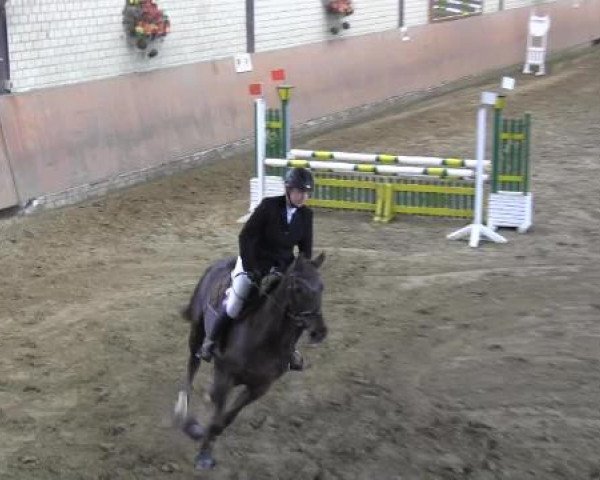 Reit - und Springturnier Hamm-Rhynern 2015