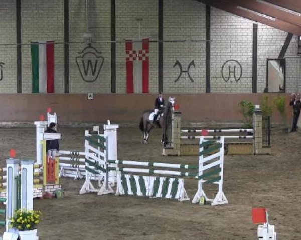 Reit - und Springturnier Hamm-Rhynern 2015