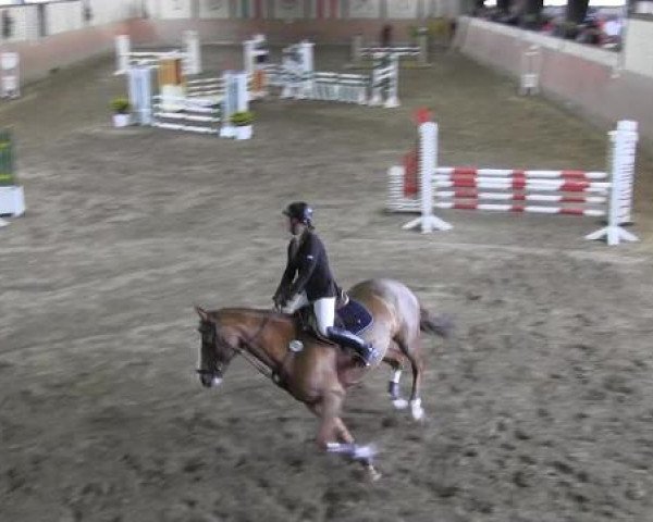 Reit - und Springturnier Hamm-Rhynern 2015