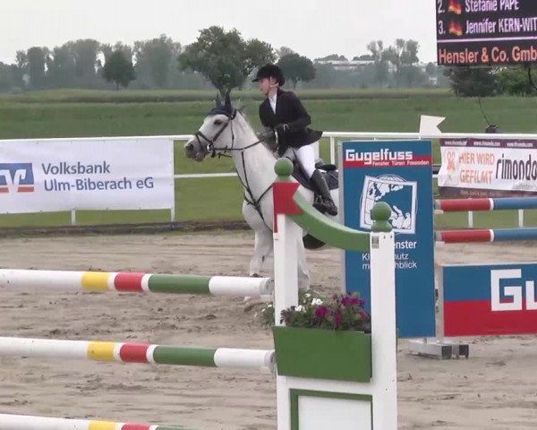 Großes Langenauer Reitturnier 2015