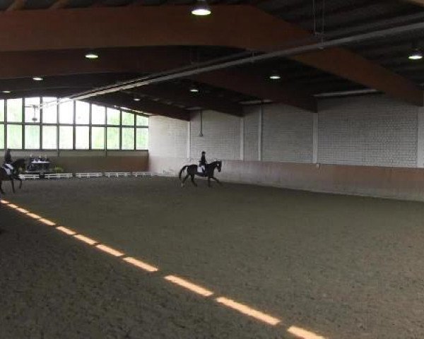 Reit - und Springturnier Hamm-Rhynern 2015