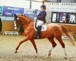 dressage horse Ban Ki Moon (Westphalian, 2010, from Basic)
