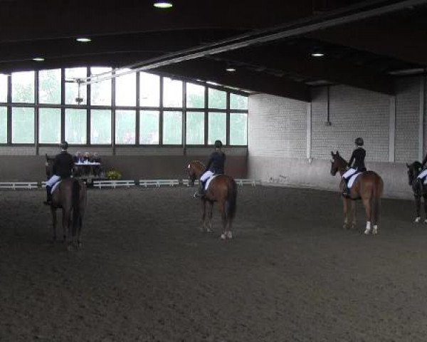 Reit - und Springturnier Hamm-Rhynern 2015