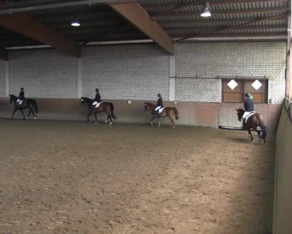 Reit - und Springturnier Hamm-Rhynern 2015