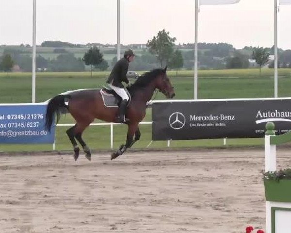 Großes Langenauer Reitturnier 2015