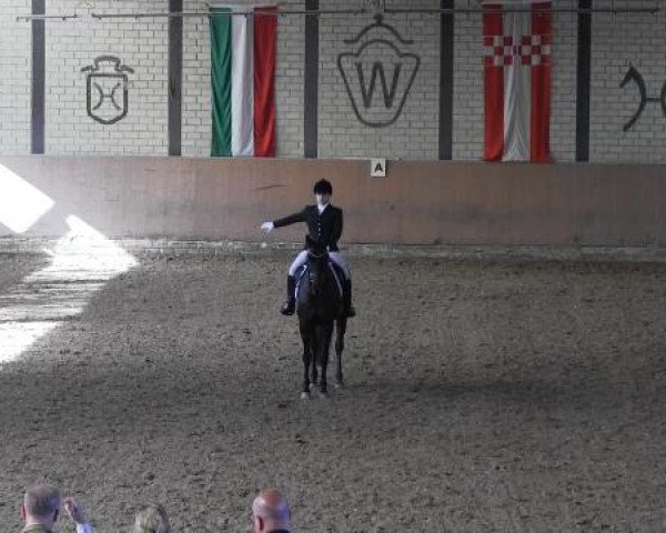 Reit - und Springturnier Hamm-Rhynern 2015
