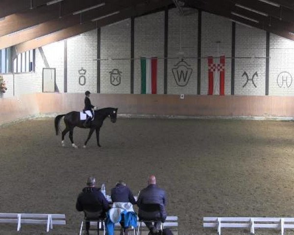 Reit - und Springturnier Hamm-Rhynern 2015
