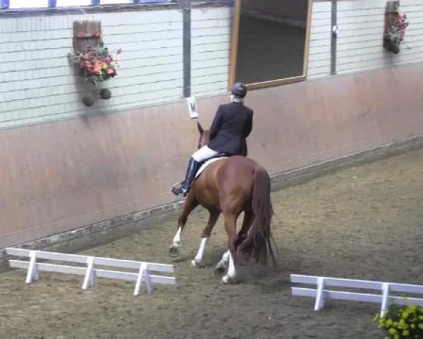 Reit - und Springturnier Hamm-Rhynern 2015
