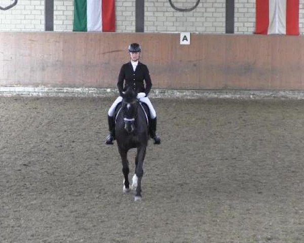Reit - und Springturnier Hamm-Rhynern 2015