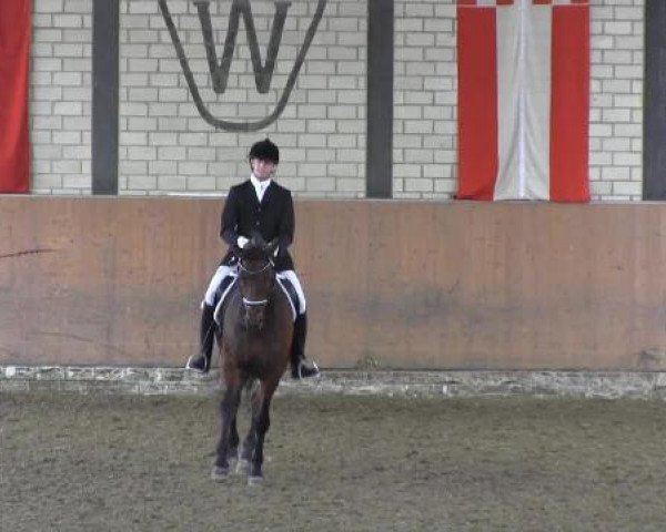 Reit - und Springturnier Hamm-Rhynern 2015