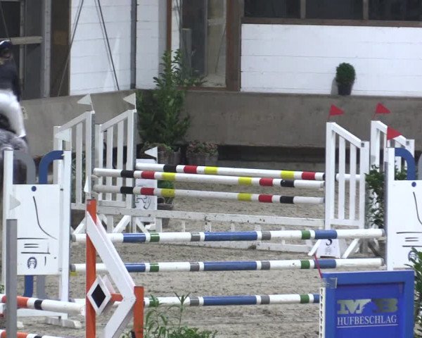 Reitturnier Langenfeld - Gut Langfort 2021