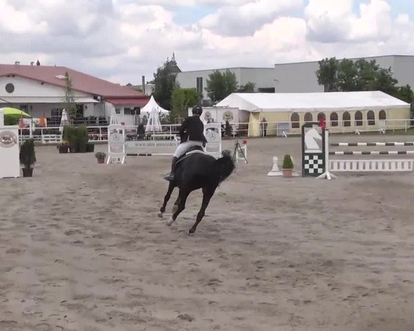 Großes Langenauer Reitturnier 2015