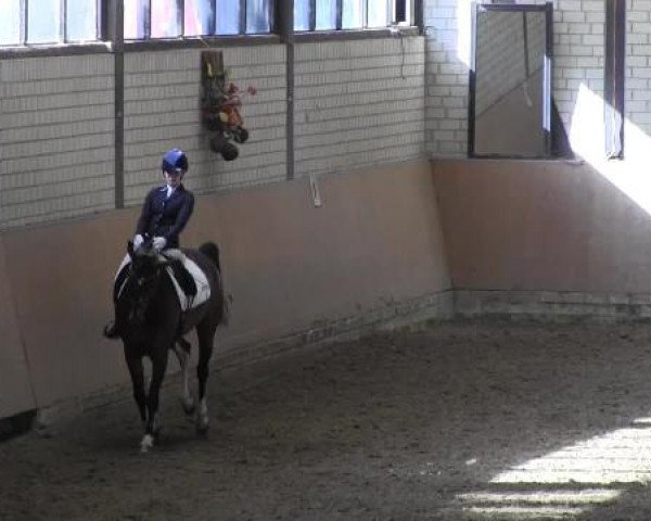 Reit - und Springturnier Hamm-Rhynern 2015