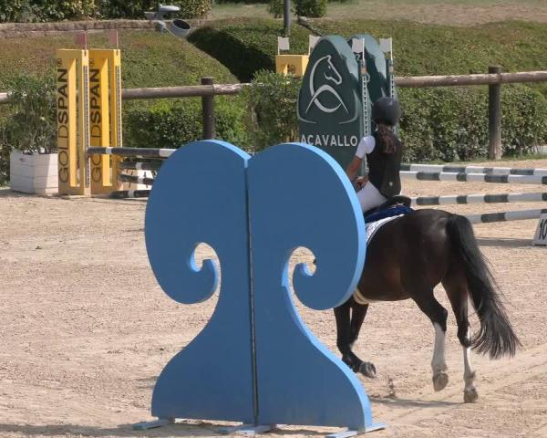 Jezdecké závody San Giovanni in Marignano 2026