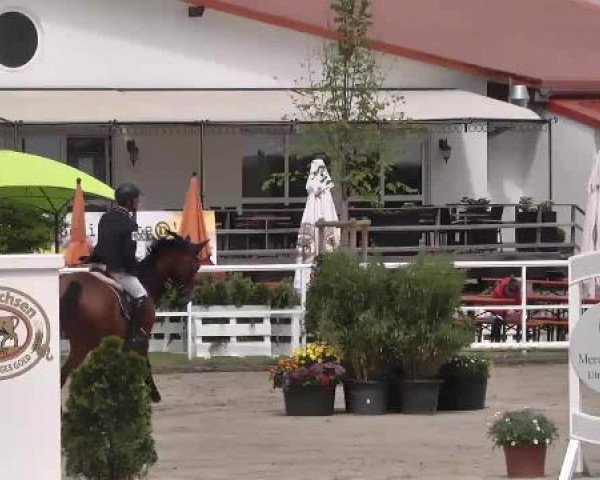 Großes Langenauer Reitturnier 2015