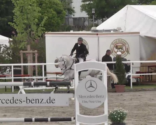 Großes Langenauer Reitturnier 2015