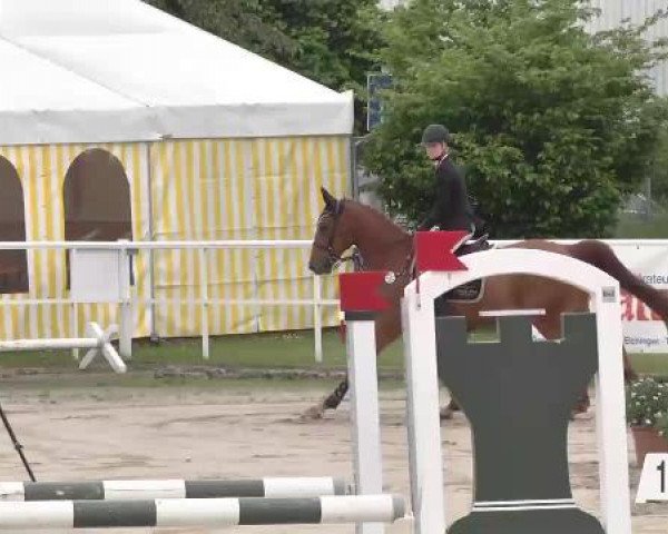 Großes Langenauer Reitturnier 2015