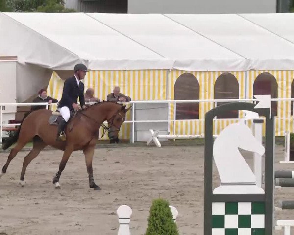 Großes Langenauer Reitturnier 2015