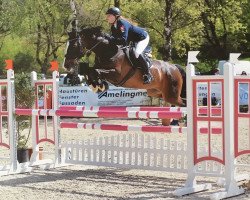 jumper Lacalucci 2 (Oldenburg, 2003, from Lamentos)