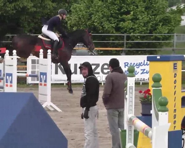 Großes Langenauer Reitturnier 2015