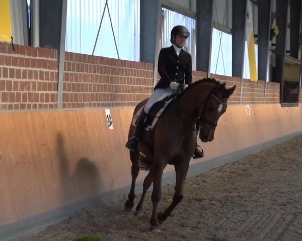 Frechen-Grefrath 2015