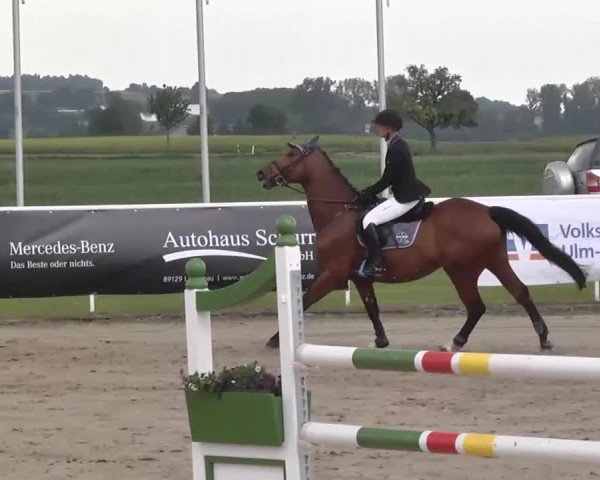 Großes Langenauer Reitturnier 2015