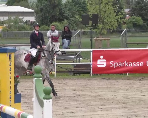 Großes Langenauer Reitturnier 2015