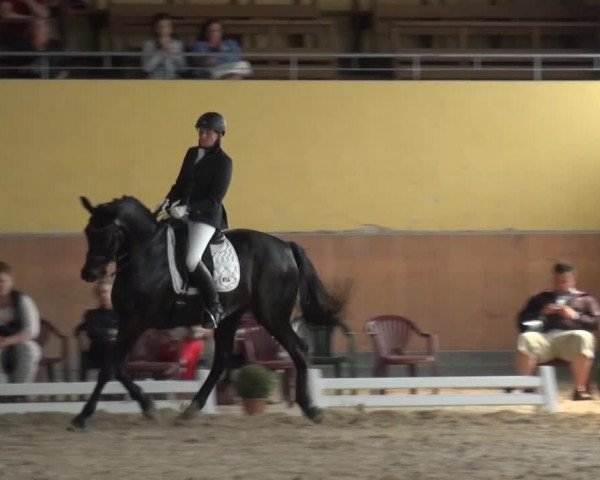 Frechen-Grefrath 2015