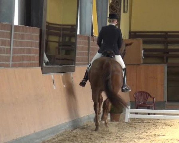 Frechen-Grefrath 2015