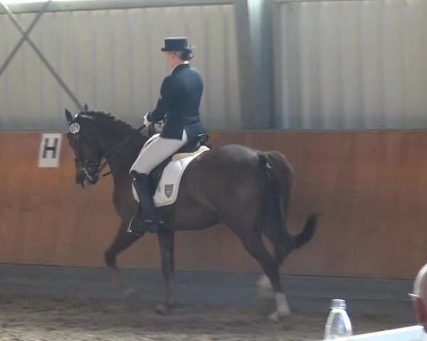 Frechen-Grefrath 2015