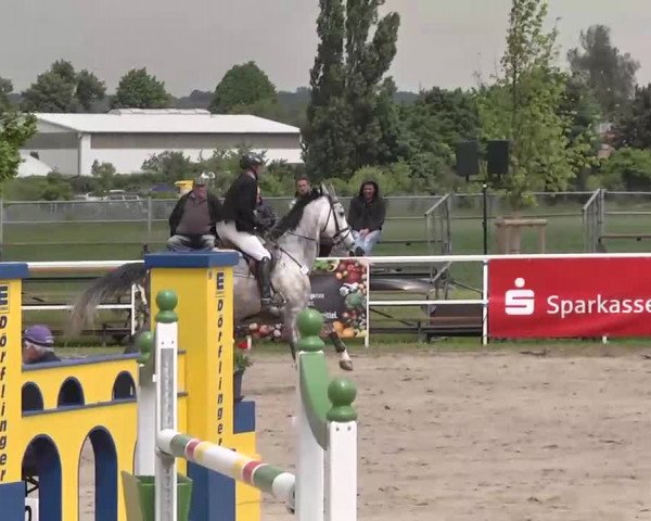 Großes Langenauer Reitturnier 2015
