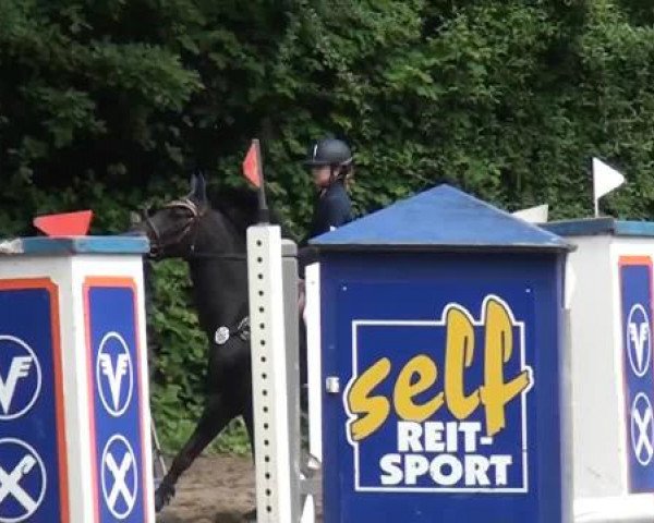 Reitturnier Krefeld-Hüls 2015