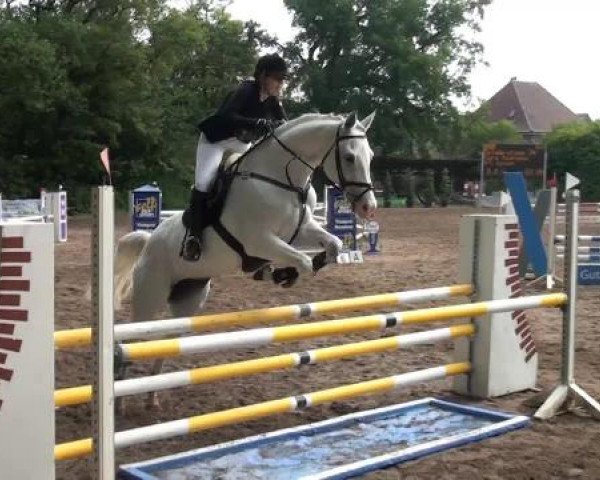 Reitturnier Krefeld-Hüls 2015