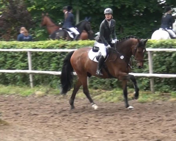Reitturnier Krefeld-Hüls 2015