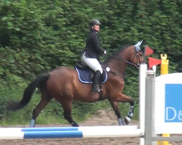 Reitturnier Krefeld-Hüls 2015