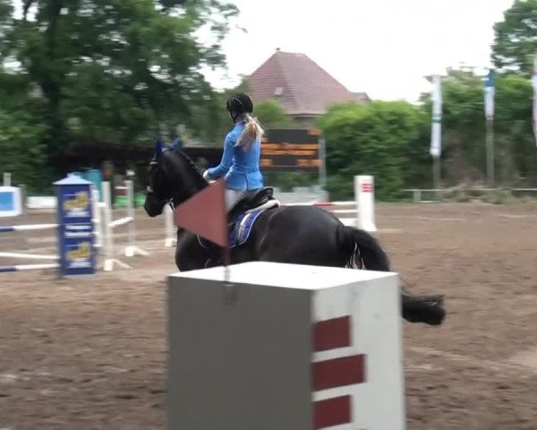 Reitturnier Krefeld-Hüls 2015