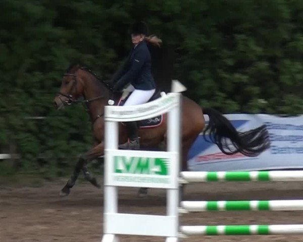 Reitturnier Krefeld-Hüls 2015