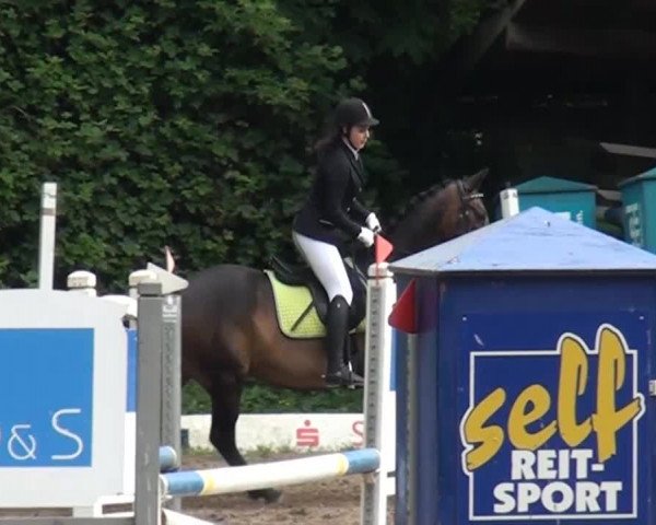 Reitturnier Krefeld-Hüls 2015