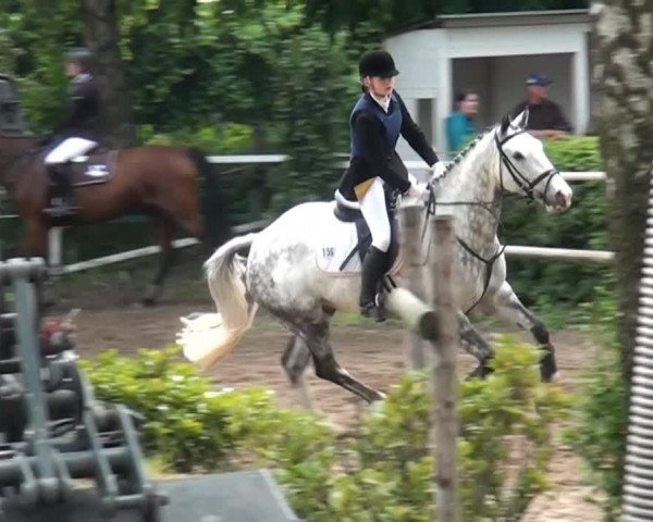 Reitturnier Krefeld-Hüls 2015