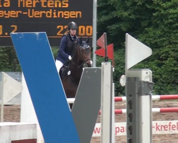 Reitturnier Krefeld-Hüls 2015