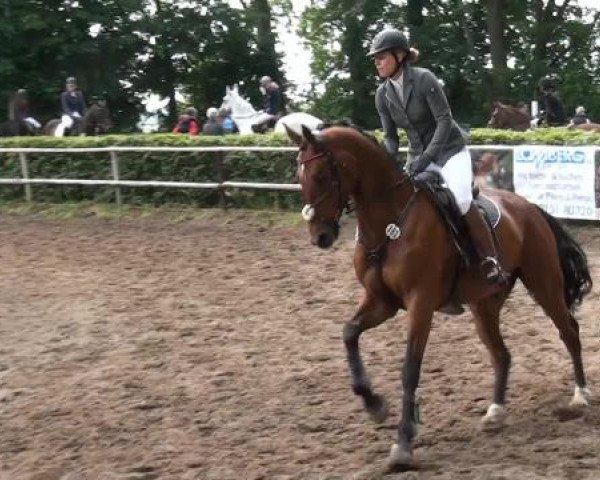 Reitturnier Krefeld-Hüls 2015