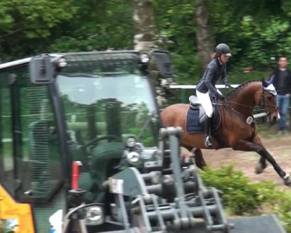 Reitturnier Krefeld-Hüls 2015