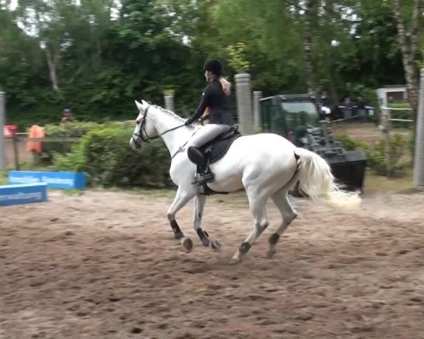 Reitturnier Krefeld-Hüls 2015
