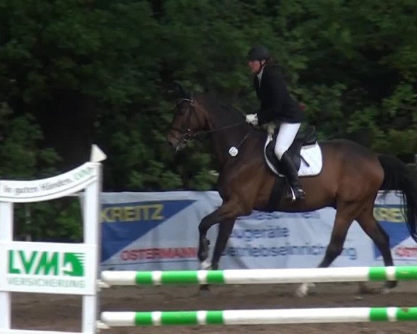 Reitturnier Krefeld-Hüls 2015